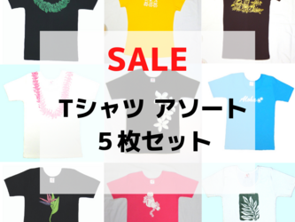 【限定セール】シンプルハワイアンプリントTシャツ/アソート5枚セット/大特価/セール/XLサイズ/コットン100%【おまかせ】の画像