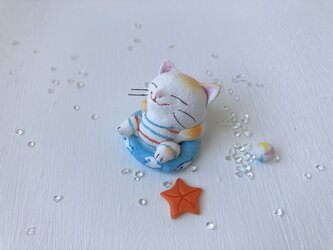 浮き輪猫さん　白黄トラの画像
