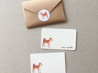 柴犬のメッセージカード サンキューカード 20枚の画像