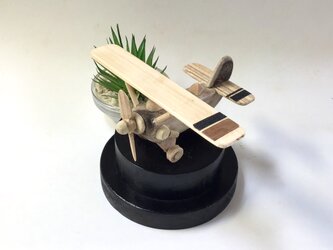 mini AIRPLANEの画像
