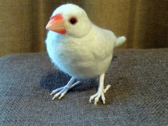 [再販]asae** 文鳥グッズ(羊毛フェルト)白文鳥の画像