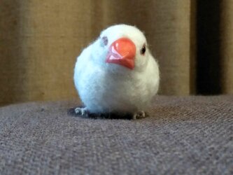 [再販]asae** 文鳥グッズ(羊毛フェルト)おすわり白文鳥の画像