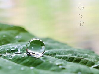 雨粒　ノンホールピアスの画像
