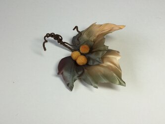 紅葉(2)の画像