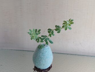 Flower egg    blueの画像