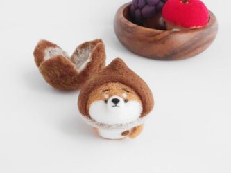 【受注製作】なりきり栗のまゆ柴犬～ふわふわイガに包まれて～　羊毛フェルトの画像