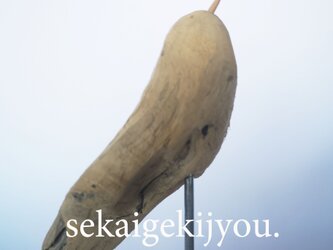 bird 〜 流木の小鳥・spの画像