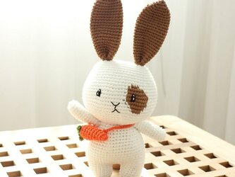 あみぐるみ うさぎちゃん 編みぐるみ プレゼント ハンドメイド 男の子 出産祝い 女の子 お部屋飾り 手編みの画像