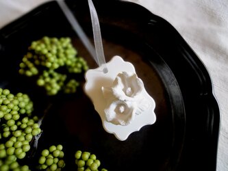 白い博物館 ■ 植物標本のアロマストーン ■  カラーの画像