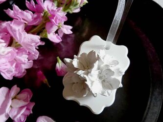 白い博物館 ■ 植物標本のアロマストーン ■ サクラ　桜　さくらの画像