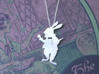 rabbit-01の画像