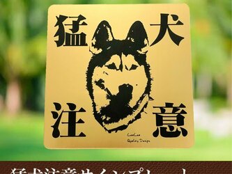【送料無料】猛犬注意サインプレート(シベリアンハスキー)GOLDアクリルプレートの画像