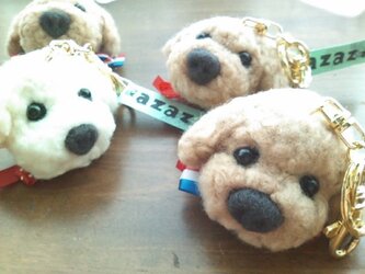 トイプードルのキーホルダーの画像