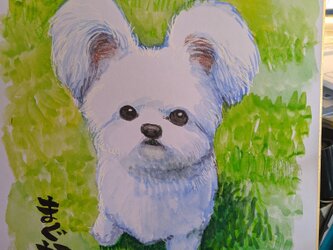 大色紙オーダーイラストの画像
