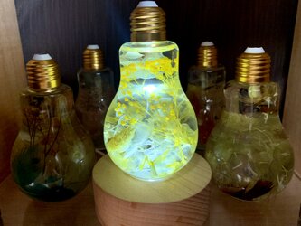 黄色の花たちの電球ハーバリウム　LEDライトセットの画像