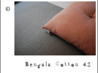 bengala COTTON ＜42＞の画像