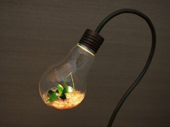 [okuda様お問い合わせ分] bulb terrariumの画像