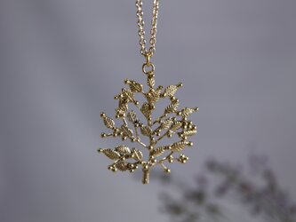 Brass necklace「Grove」の画像
