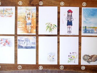 季節のポストカードセット 5枚組の画像