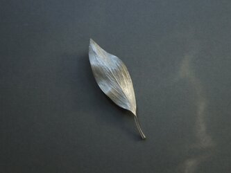 Leaf brooch Silver925の画像