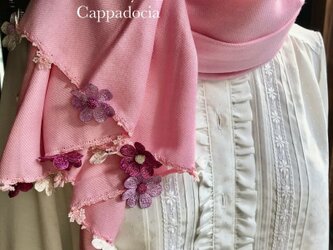 刺繍のお花つき　パシュミナストール「デイジー」ストロベリーの画像