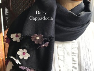 刺繍のお花つき　パシュミナストール「デイジー」ブラック＆ピンクの画像