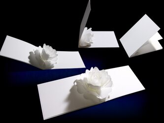 【名入れ】花のポップアップグリーティングカード〈カメリア〉forバースデー・ウェディング・アニバーサリーの画像