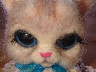 もふもふキャットの画像