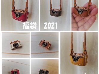 2021 福袋　カメラネックレス＆カメラブローチのセットの画像
