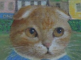スコのお店やさんの画像