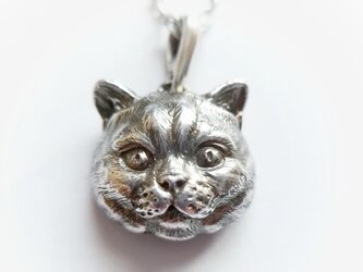 猫のsilver925製ペンダント（猫・ネコ・にゃんこ・ブリティッシュショートヘア）の画像