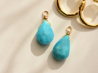 [EC]  Turquoise Earring Clipsの画像