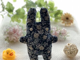 紺花柄のフニータの画像