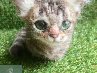 受注制作☆キジトラ子猫の香箱座りの画像