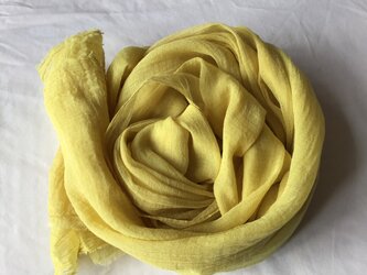 草木染め　コットンショール　コブナグサ　黄色の画像
