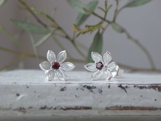 SV小花のピアス（ガーネット）の画像