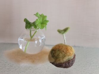 クルミの芽とミニフラワーベースの画像