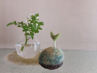 クルミの芽とミニフラワーベースの画像