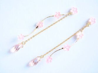 春風ゆらり桜のピアス / イヤリングの画像