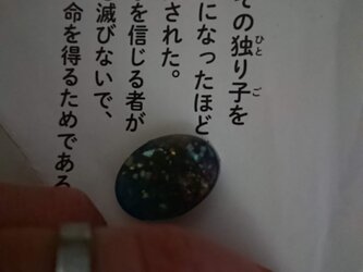 れじんのあおたまの画像