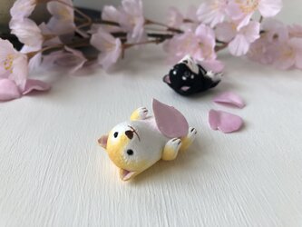 ヘソ天柴犬さん（茶色）の画像