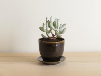 植木鉢　BG　受け皿付きの画像