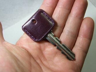 ルガトー紫のキーカバーの画像