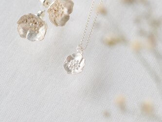 ノイバラのセット〈web限定商品〉の画像