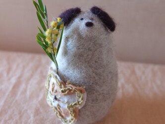 いぬだるまの画像