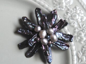淡水ケシ真珠のブローチ・メタリックネイビーブルーの画像
