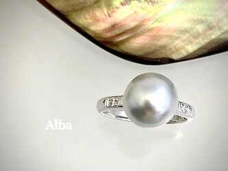 Alba（アルバ）の画像