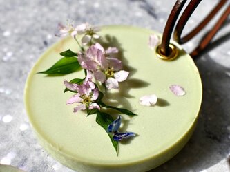 香り・カラー・紐金具がえらべる＊桜の葉に蝶　アロマワックスサシェの画像