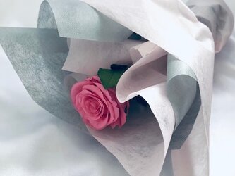 【プリザーブドフラワー／ピンクの薔薇のふんわり一輪ラッピング】の画像