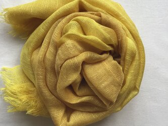 草木染め　シルクストール　ブナの画像
